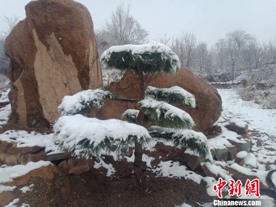 石家庄西部山区灵寿县雪后美景。　张军国 摄